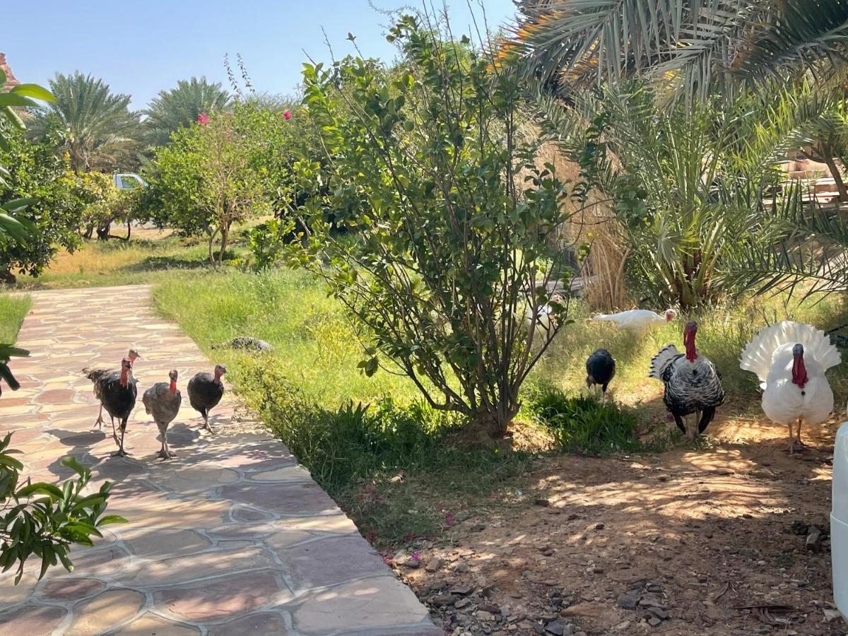 Campsite Rural Tents Naseem الخيمةالريفيةalouzaib