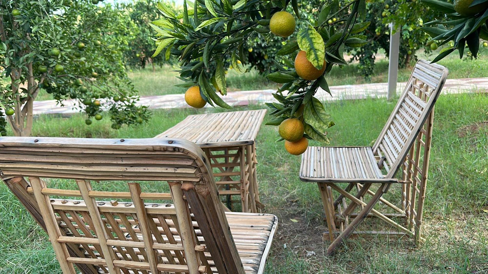 Rural Tents Naseem الخيمةالريفيةalouzaib Campsite